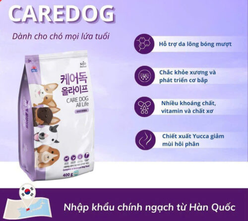 care dog vietnam pet center